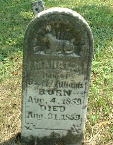 16 Mahala, Daughter of John and Mahala Williams - Born Aug. 4, 1859 - Died Aug. 31, 1859