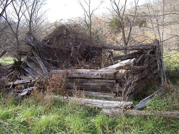 21 Old Log Cabin