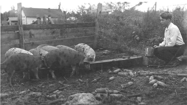 10 Ralph on Farm - Age 16