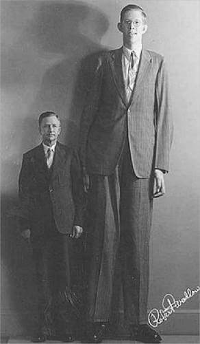 Mother-in-Law showed us this pair of shoes she has that were made for  Robert Wadlow, an 8' 11 American from Illinois with a shoe size of 37. My  size 12 and wife's