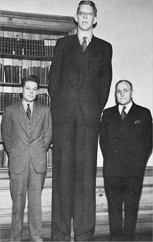 Mother-in-Law showed us this pair of shoes she has that were made for  Robert Wadlow, an 8' 11 American from Illinois with a shoe size of 37. My  size 12 and wife's