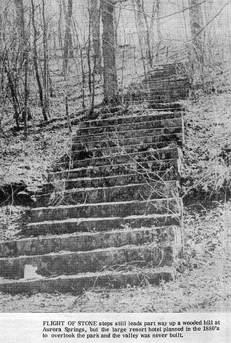 05 Aurora Springs - Steps to Hotel - Weaver