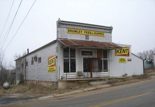 55 Hawkins - Thompson - Shelton Store in Brumley