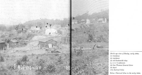 Bird's eye view of Henley - Early 1900's