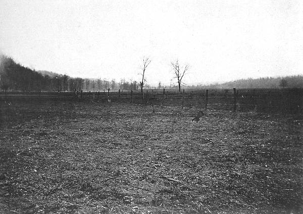 05 Flood Plain of Osage River