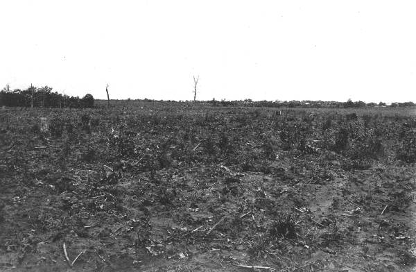 15 Flat Topped Ridge Underlain by the St. Elizabeth Formation