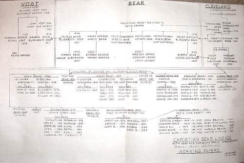 29 Bear Family Descendency