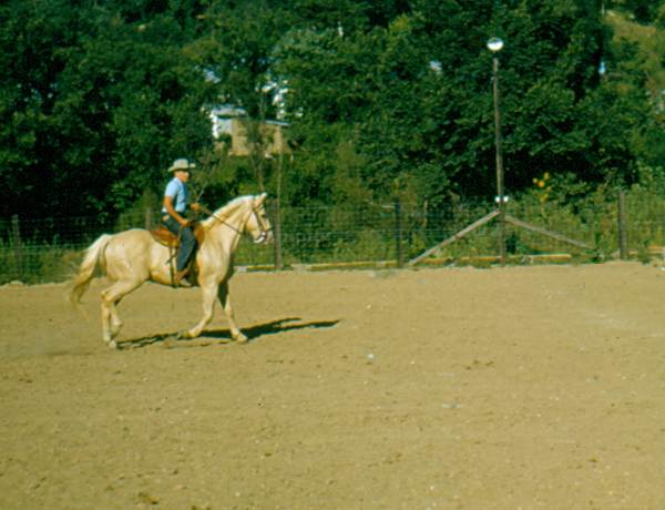 20 Joe Pryor - Tuscumbia Saddle Club Arena