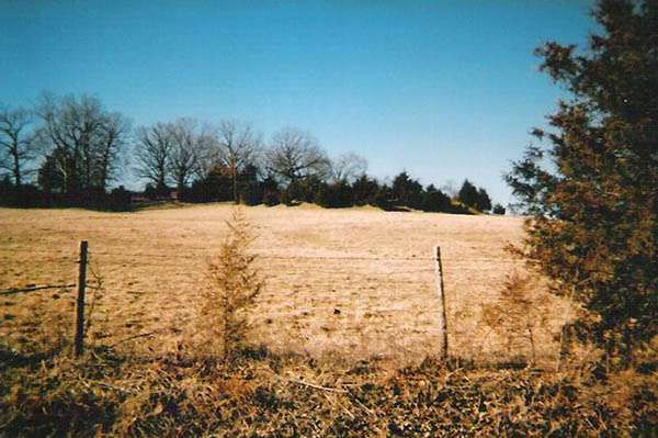 21 Clark Cemetary at the top of this hill is where John 'Hoppin' Clark is buried in the center of the Cedar Trees