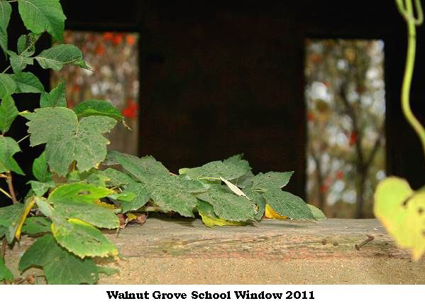 Walnut Grove School - 2011